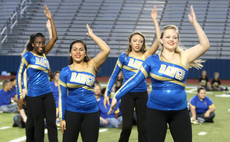 Cove Spirit Spectacular